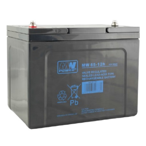 BTL 12V 65A