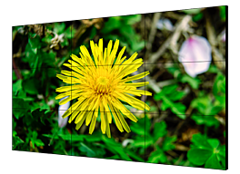 DS-D2055LE-G