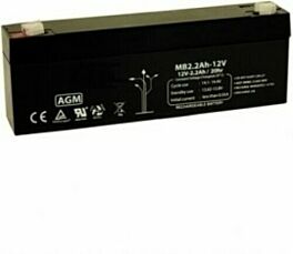 MAX 12V2A