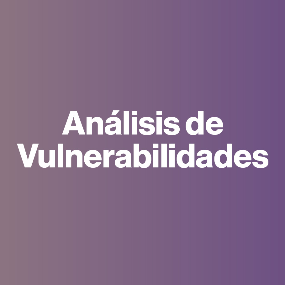 análisis de vulnerabilidades ciberseguridad casmar