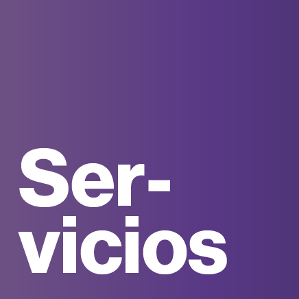 servicios ciberseguridad casmar